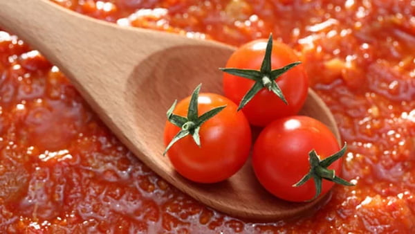 تصویر 1 از فروش رب گوجه فرنگی دلپذیر + قیمت خرید به صرفه